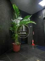 大きな植栽が置かれています