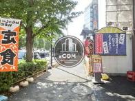 街路樹のある通り