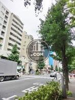 街路樹のある通り