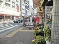 玄関前の歩道