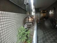 間接照明と植栽の配慮がしてあります