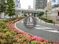 植栽のある環境