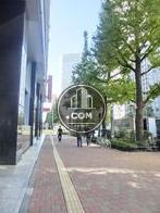 街路樹が綺麗です