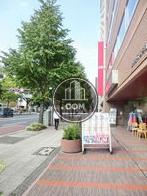 街路樹のある通り