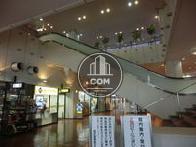 1階裏口から2階を見上げた風景。