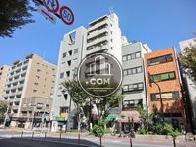 前面に大きな樹が植えられています