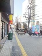 街路樹のある通り