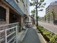 歩道はきちんと整備されており、適度な人通りが見られます