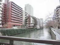 目の前に目黒川が流れます