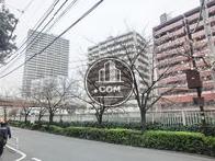 春には桜が満開になります
