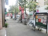 街路樹の点在する歩道