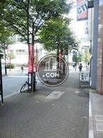 綺麗に舗装された歩道が展開されています