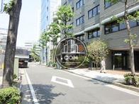 街路樹のある通り