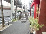 街路樹のある歩道