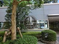 植栽が多く心地良いです