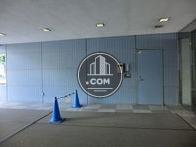 玄関は敷地が広く視界が開けた明るい空間です