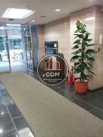観葉植物が育てられており緑を感じることが出来ます。