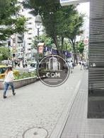 坂もなだらかな場所です