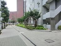 歩きやすい道路です