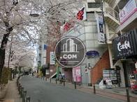 いろんな店舗が並ぶ通りです