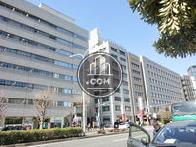 外堀通り沿い