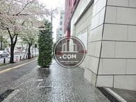 敷地内には植栽が配されています
