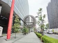 街路樹の立ち並ぶ歩道
