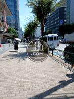 建物前の歩道