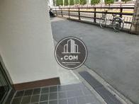 道路の道幅は狭めです