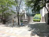広い玄関回り