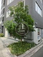 敷地内の植栽