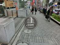 前面道路の広くとられた歩道です