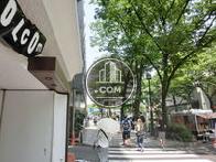 並木通りに面しています