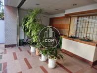 植物も綺麗に育てられています