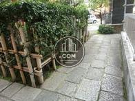 平河天満宮の植木です