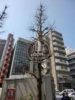 正面入口付近から見た周辺です