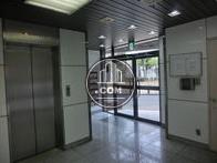 ガラス面の玄関からは採光が入ります