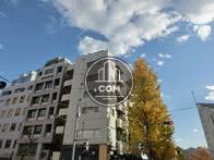 建物対面からの外観