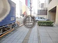 街路樹のある歩道