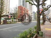 前面の道は歩道も広々としています