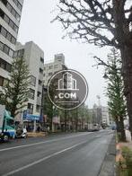 街路樹の立ち並ぶ公道