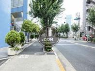 街路樹の多い公道