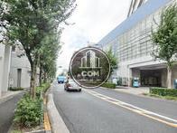 綺麗な通りです