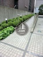 緩やかな傾斜のスロープ