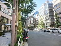 全面道路右手の様子