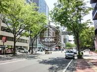 街路樹の多い通り