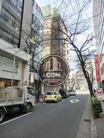 前面道路の桜並木です。