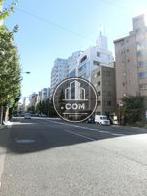 綺麗な道路です
