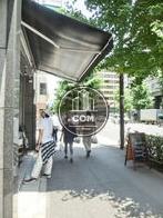 街路樹が立ち並び木陰のある通り