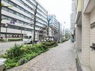 街路樹のある歩道